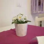 Extremo Sud Bed & Breakfast