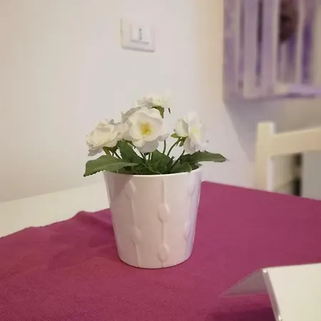 Extremo Sud Frühstückspension
