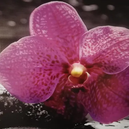 Extremo Sud Portopalo Di Capo Passero