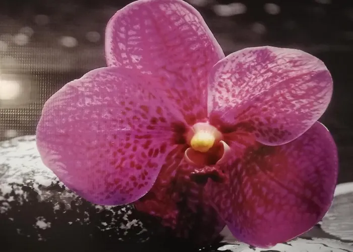 Extremo Sud Portopalo Di Capo Passero